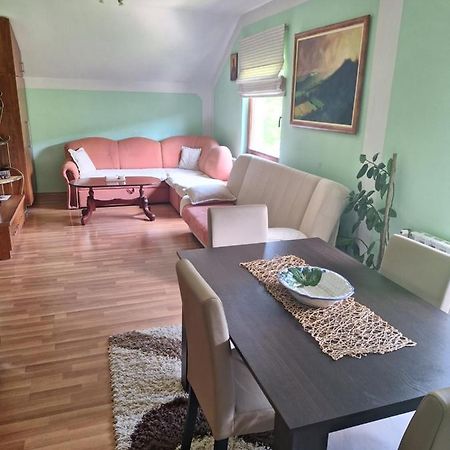Apartman Sara Pale - Ski Centar Ravna Planina Экстерьер фото