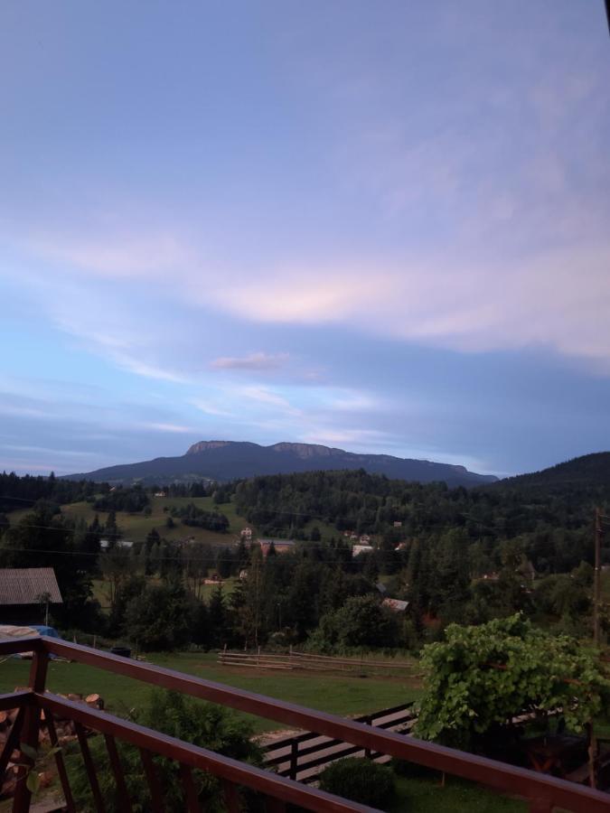 Apartman Sara Pale - Ski Centar Ravna Planina Экстерьер фото