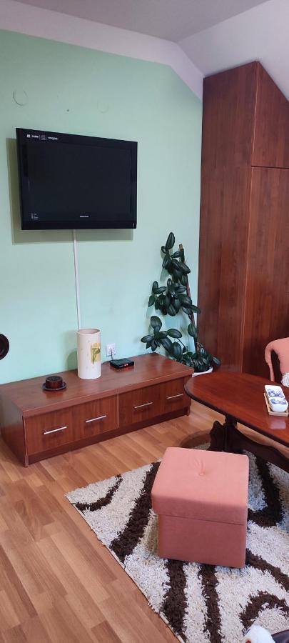 Apartman Sara Pale - Ski Centar Ravna Planina Экстерьер фото