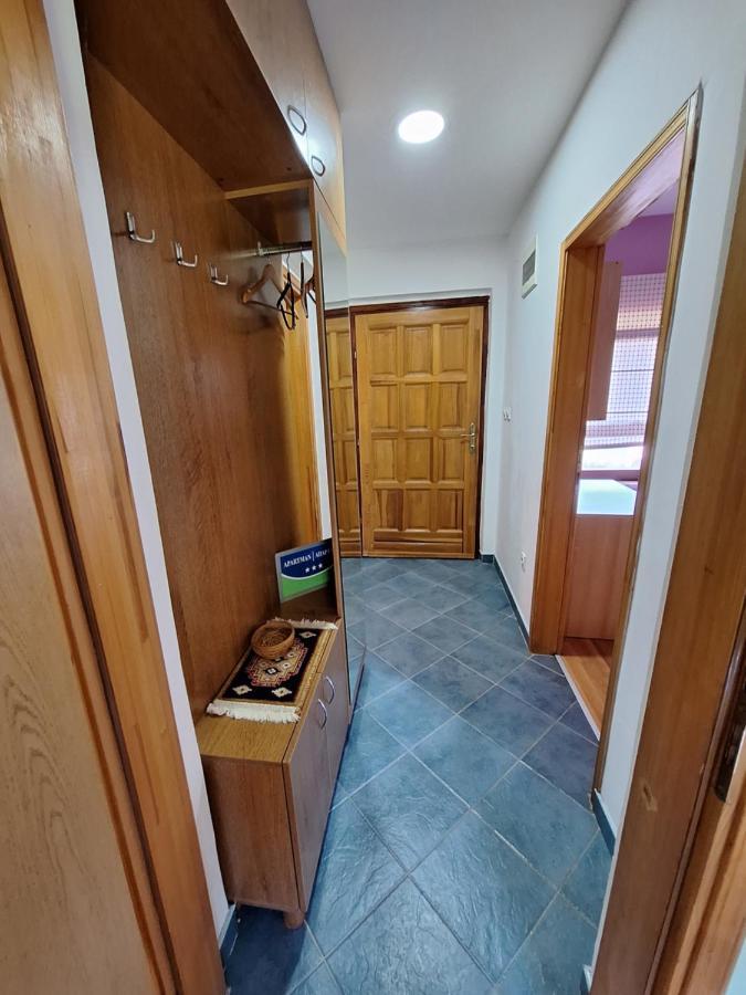 Apartman Sara Pale - Ski Centar Ravna Planina Экстерьер фото