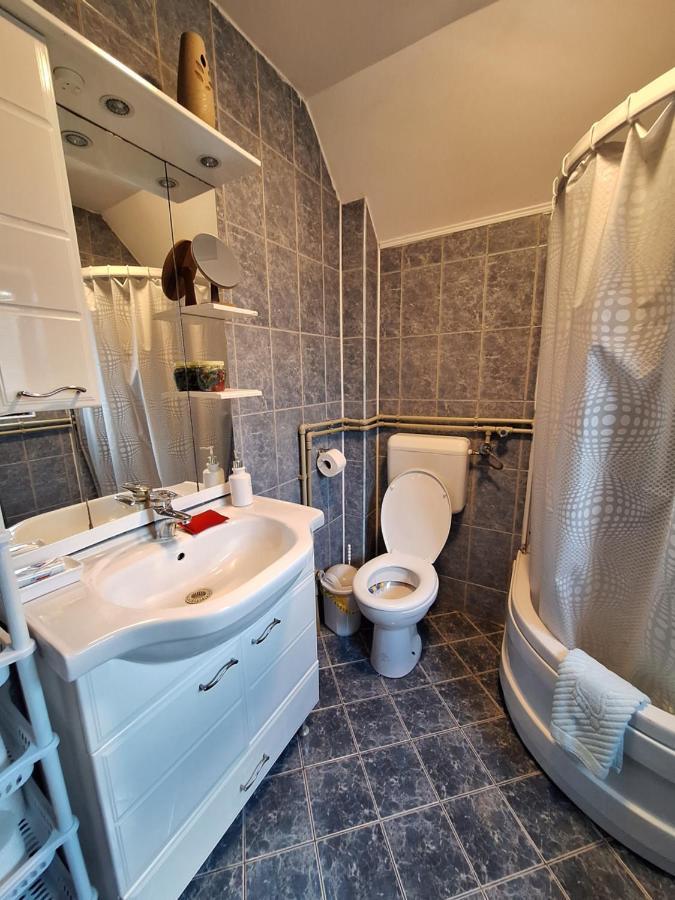 Apartman Sara Pale - Ski Centar Ravna Planina Экстерьер фото