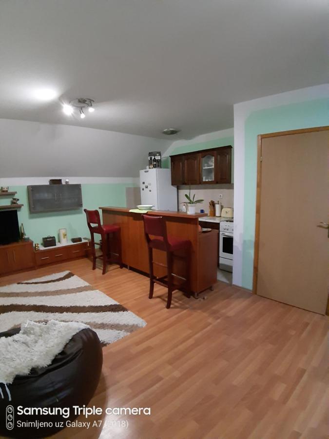 Apartman Sara Pale - Ski Centar Ravna Planina Экстерьер фото