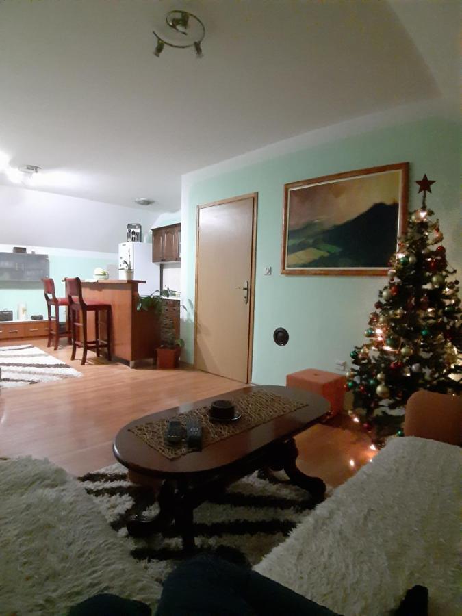 Apartman Sara Pale - Ski Centar Ravna Planina Экстерьер фото